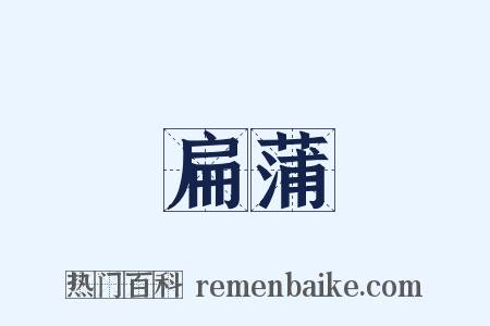 扁蒲是什么意思的图片